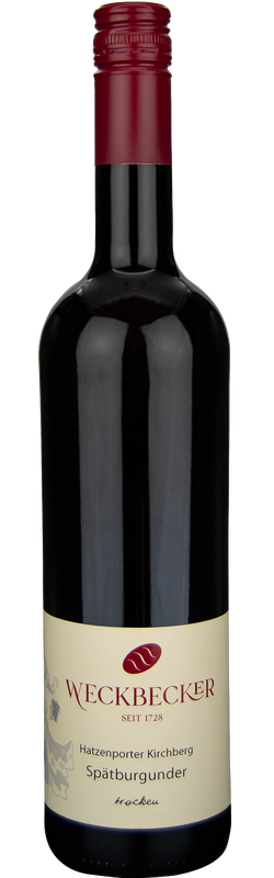 2021 Mosel Spätburgunder Burg Cochem von Weingut Weckbecker - Rotwein 2021 Mosel Spätburgunder Burg Cochem von Weingut Weckbecker - Rotwein