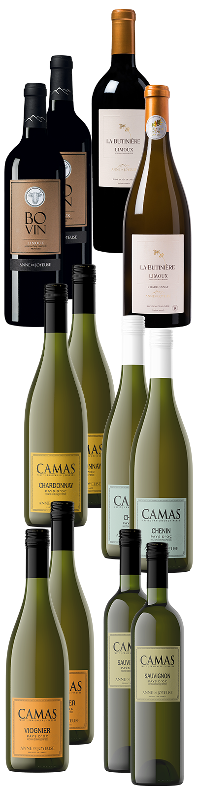 12 Flaschen Sparpaket Camas 12 Flaschen Sparpaket Camas