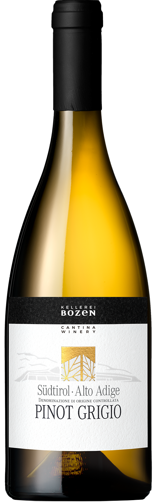 2023 PINOT GRIGIO  Südtirol von Kellerei Bozen/Gries - Weißwein 2023 PINOT GRIGIO  Südtirol von Kellerei Bozen/Gries - Weißwein