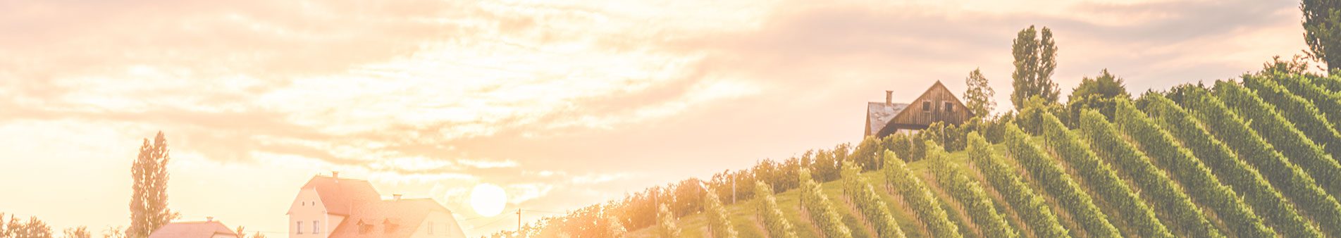 Winzer Domaine Chandon de Briailles