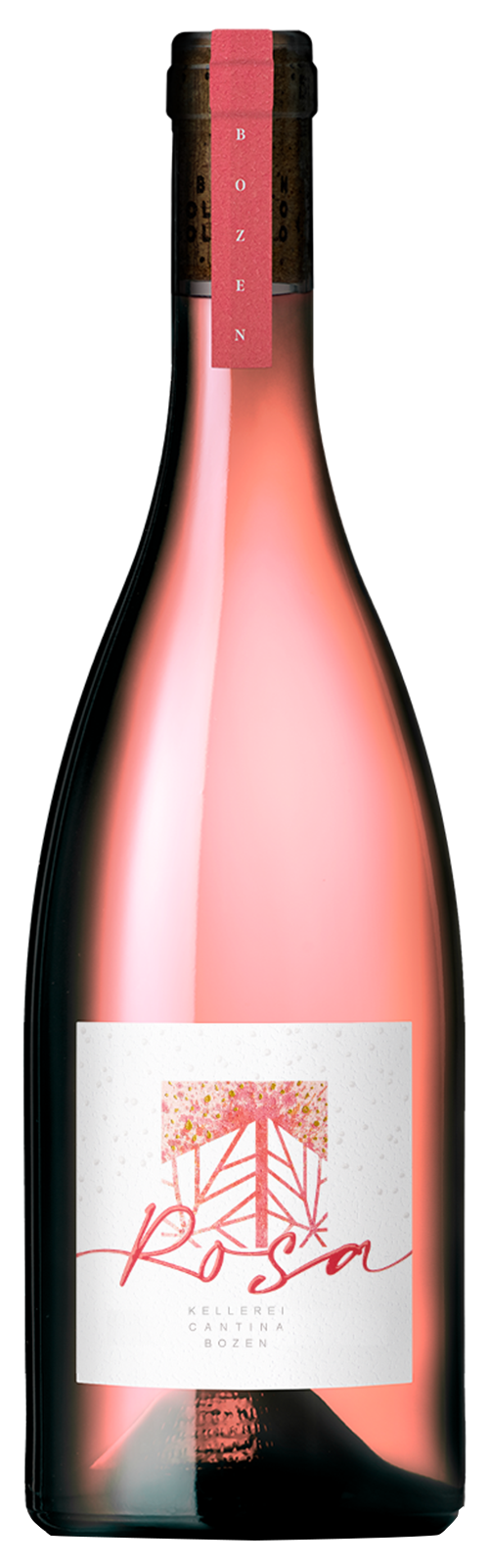2023 ROSA - rose von Kellerei Bozen -Rosewein 2023 ROSA - rose von Kellerei Bozen -Rosewein