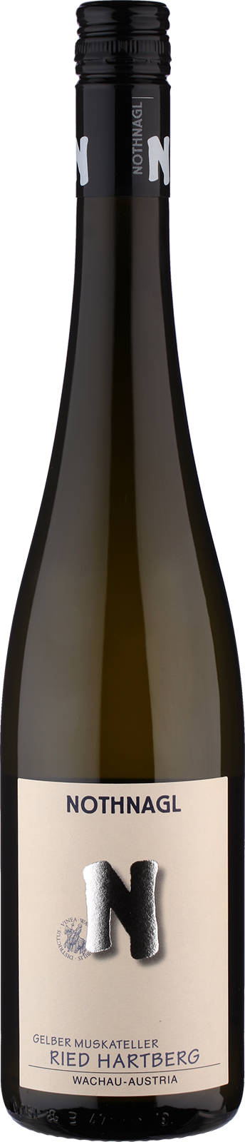 2021 Gelber Muskateller von Weingut Nothnagl Wachau - Weißwein 2021 Gelber Muskateller von Weingut Nothnagl Wachau - Weißwein