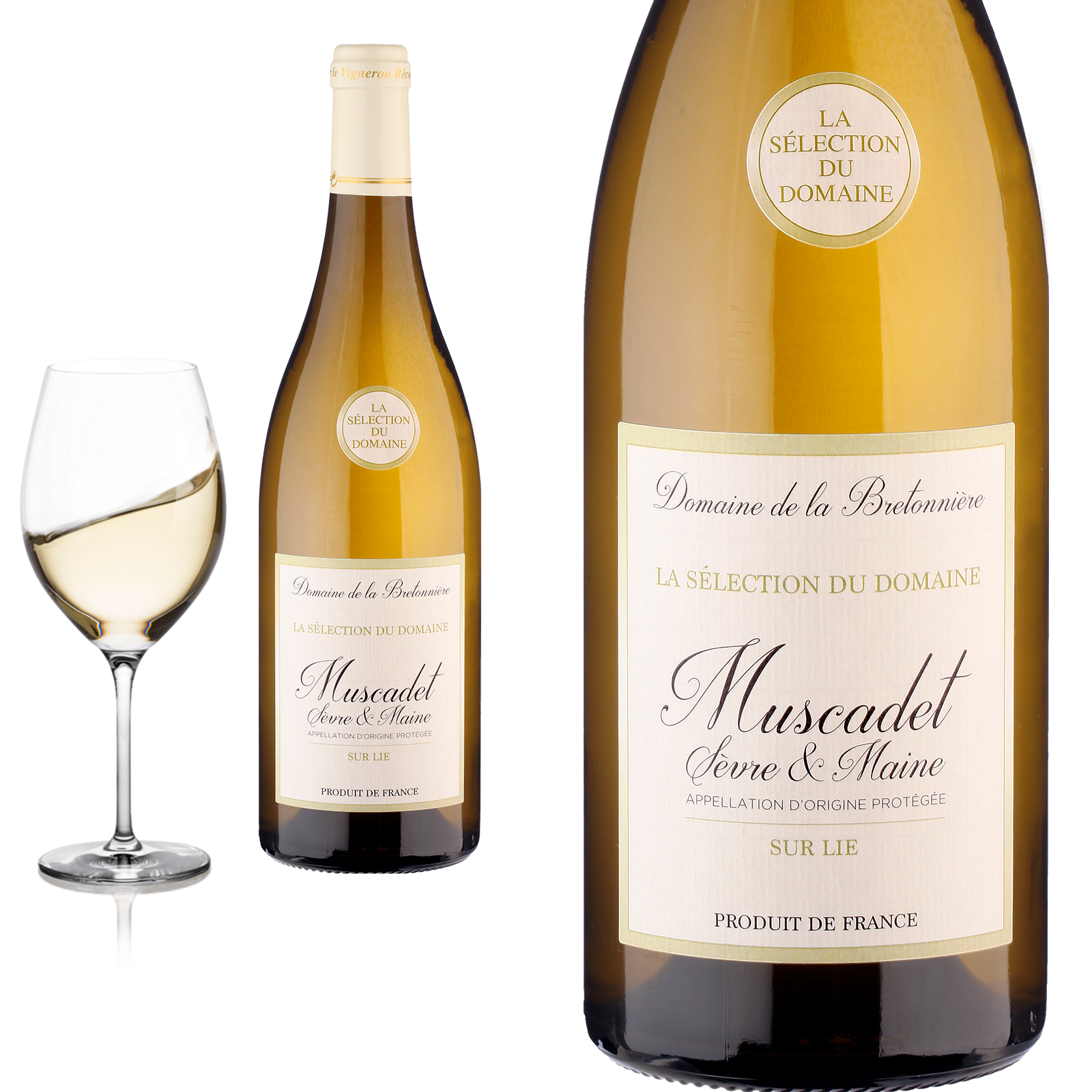 2024 Muscadet Sèvre & Maine sur Lie von Domaine de la Bretonnière - Weißwein 2024 Muscadet Sèvre & Maine sur Lie von Domaine de la Bretonnière - Weißwein