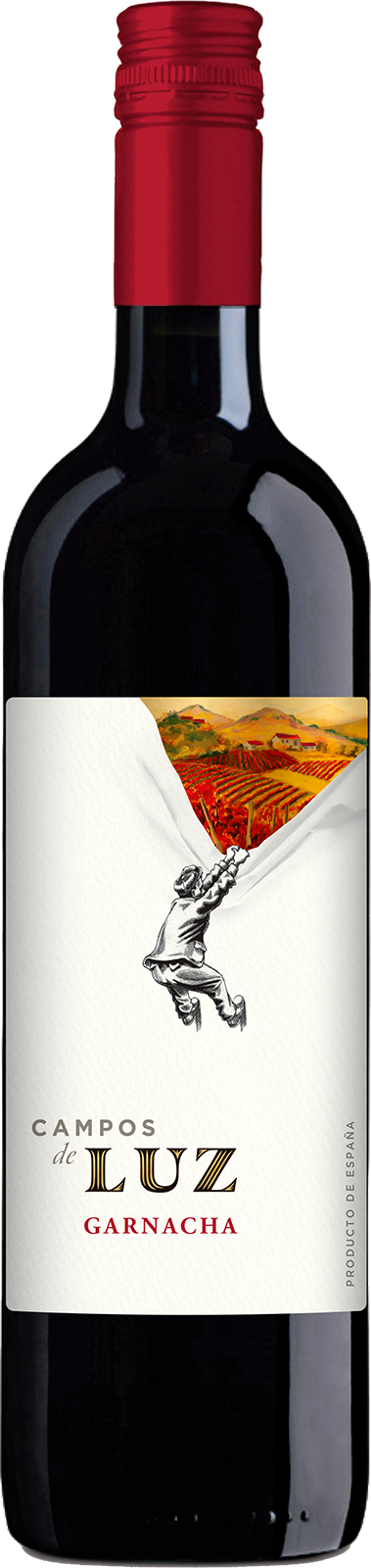 2020 Garnacha Vieja Carinena von Campos de Luz - Rotwein 2020 Garnacha Vieja Carinena von Campos de Luz - Rotwein