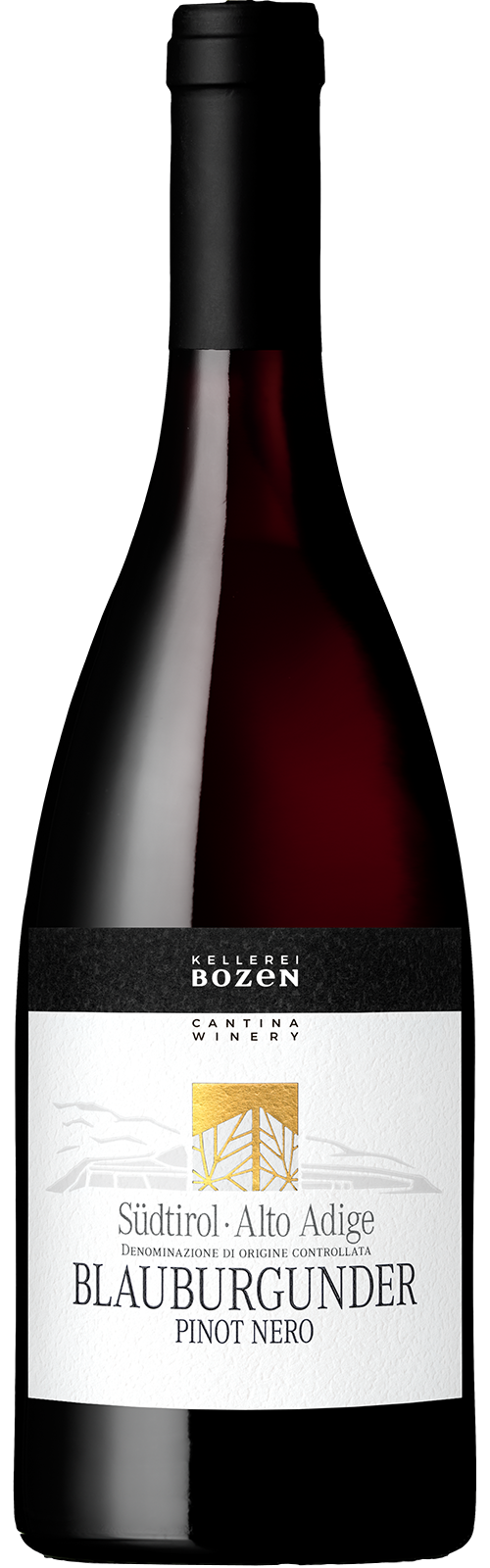 2022 BLAUBURGUNDER Südtirol von Kellerei Bozen/Gries - Rotwein 2024 PINOT NERO Südtirol von Kellerei Bozen/Gries - Rotwein