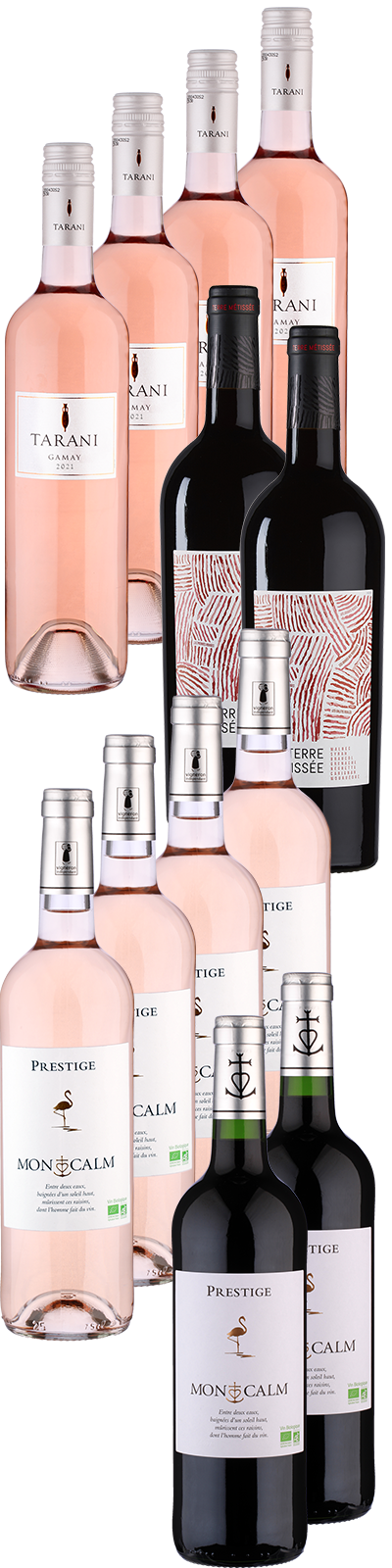 12 Flaschen Paket perfekte Grill-Weine 12 Flaschen Paket perfekte Grill-Weine