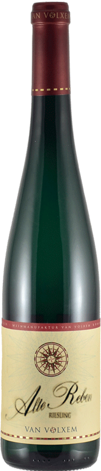 2021 Alte Reben Riesling trocken von Weingut van Volxem - Weißwein 2021 Alte Reben Riesling trocken von Weingut van Volxem - Weißwein